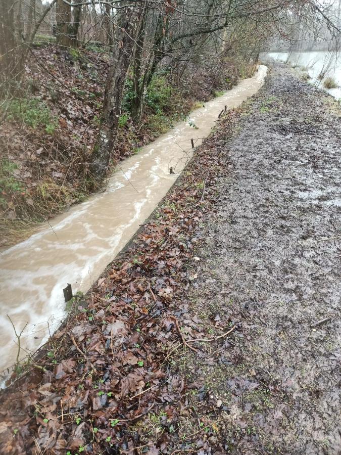 Deux Etangs Poissonneux Au Milieu Des Bois Avec Gite Moderne, La Halte Des Deux Lacs Rosee Luaran gambar
