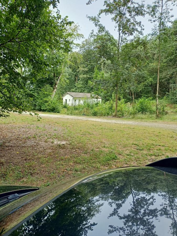 Deux Etangs Poissonneux Au Milieu Des Bois Avec Gite Moderne, La Halte Des Deux Lacs Rosee Luaran gambar