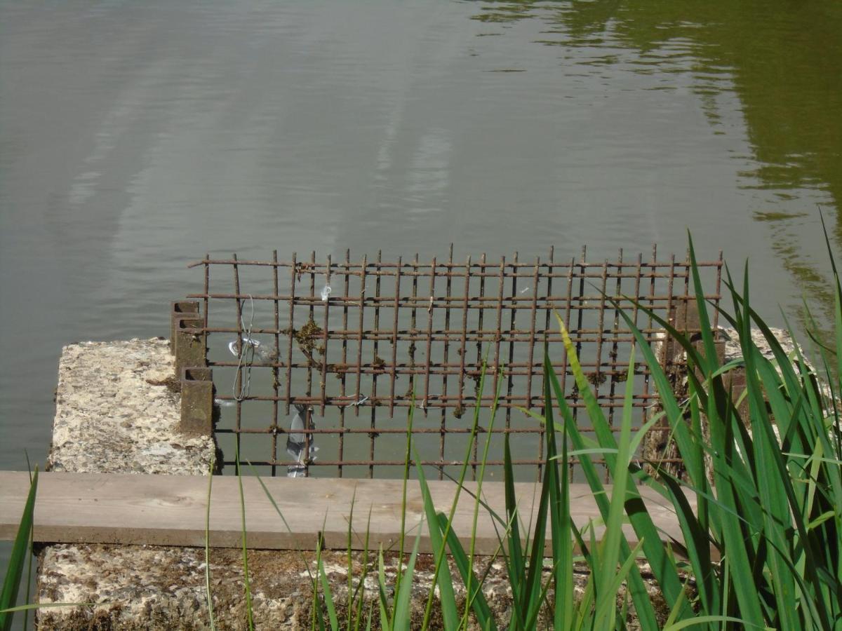 Deux Etangs Poissonneux Au Milieu Des Bois Avec Gite Moderne, La Halte Des Deux Lacs Rosee Luaran gambar