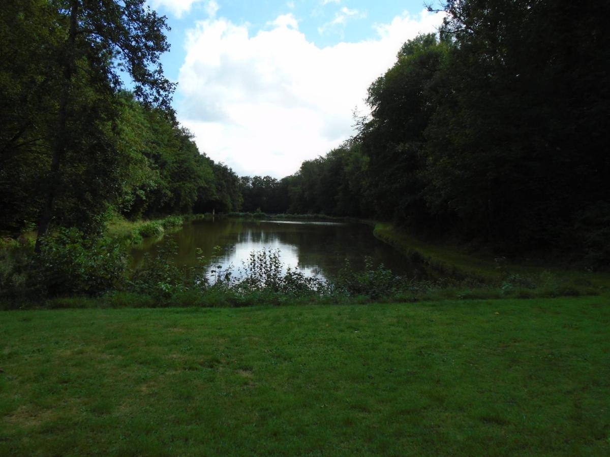 Deux Etangs Poissonneux Au Milieu Des Bois Avec Gite Moderne, La Halte Des Deux Lacs Rosee Luaran gambar