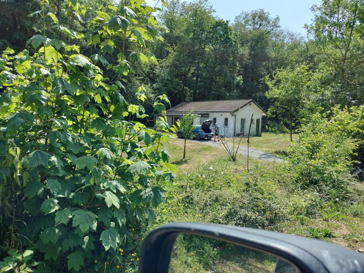 Deux Etangs Poissonneux Au Milieu Des Bois Avec Gite Moderne, La Halte Des Deux Lacs Rosee Luaran gambar