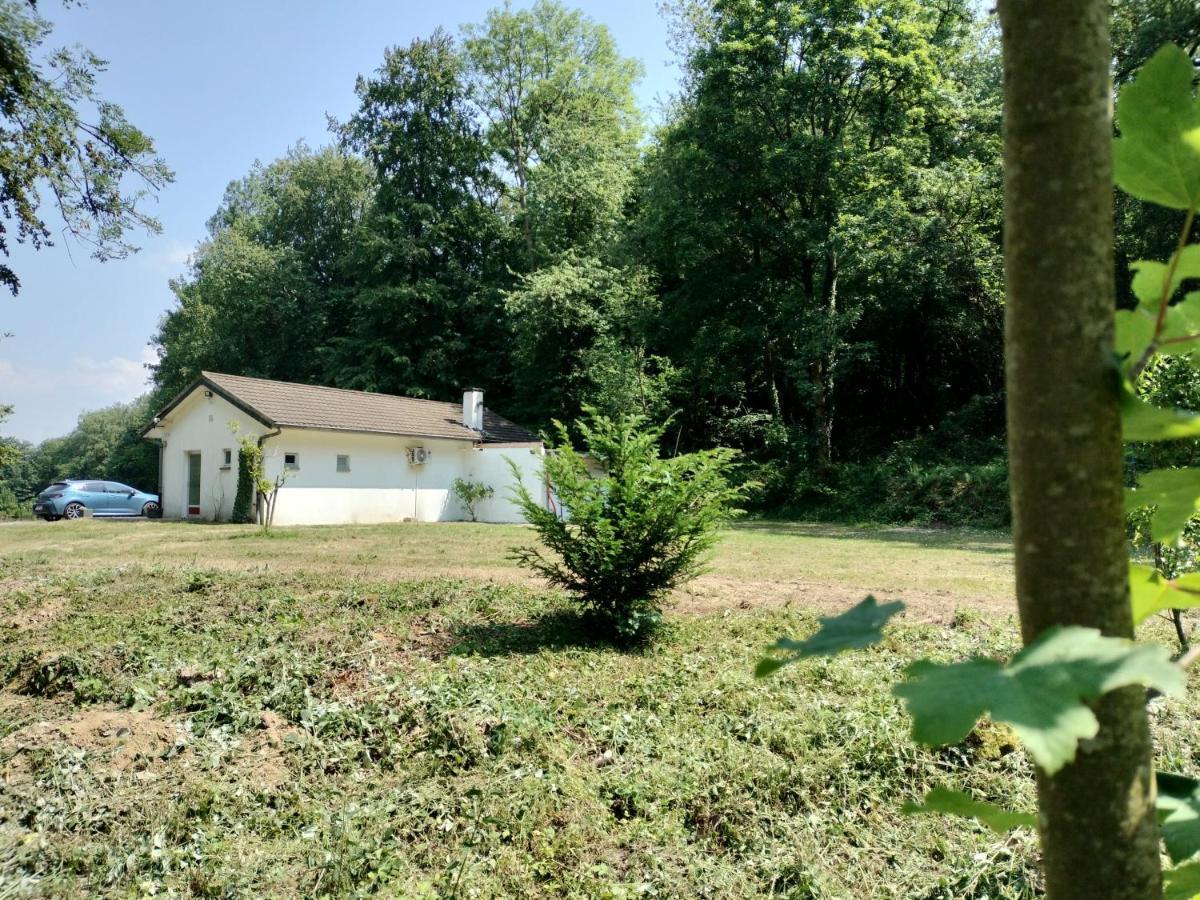 Deux Etangs Poissonneux Au Milieu Des Bois Avec Gite Moderne, La Halte Des Deux Lacs Rosee Luaran gambar