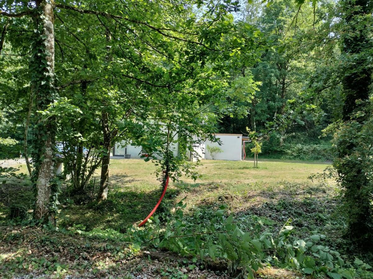 Deux Etangs Poissonneux Au Milieu Des Bois Avec Gite Moderne, La Halte Des Deux Lacs Rosee Luaran gambar