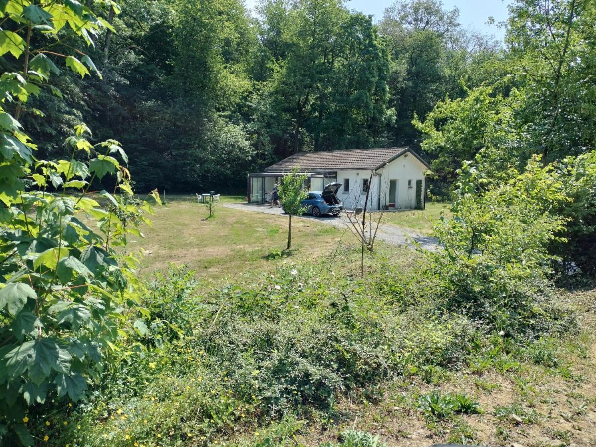 Deux Etangs Poissonneux Au Milieu Des Bois Avec Gite Moderne, La Halte Des Deux Lacs Rosee Luaran gambar