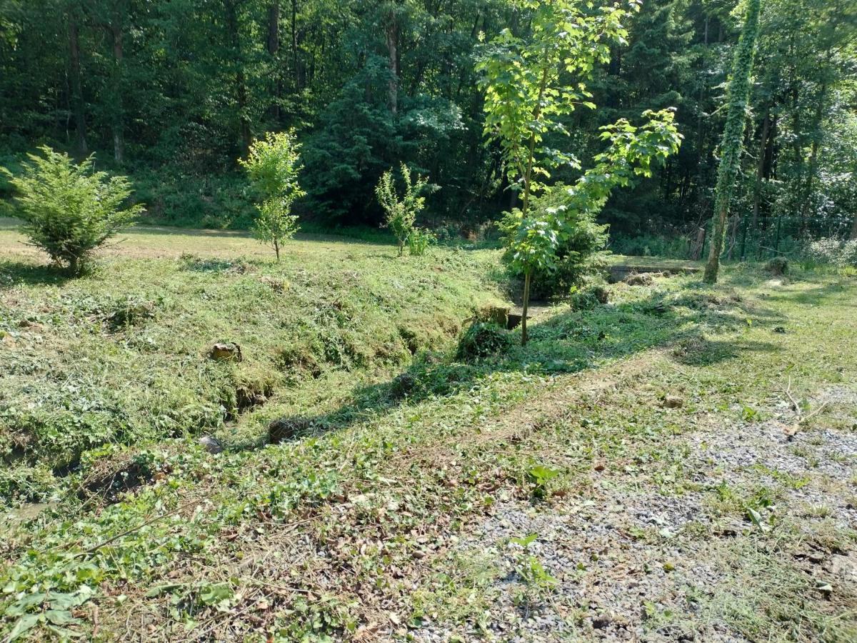 Deux Etangs Poissonneux Au Milieu Des Bois Avec Gite Moderne, La Halte Des Deux Lacs Rosee Luaran gambar