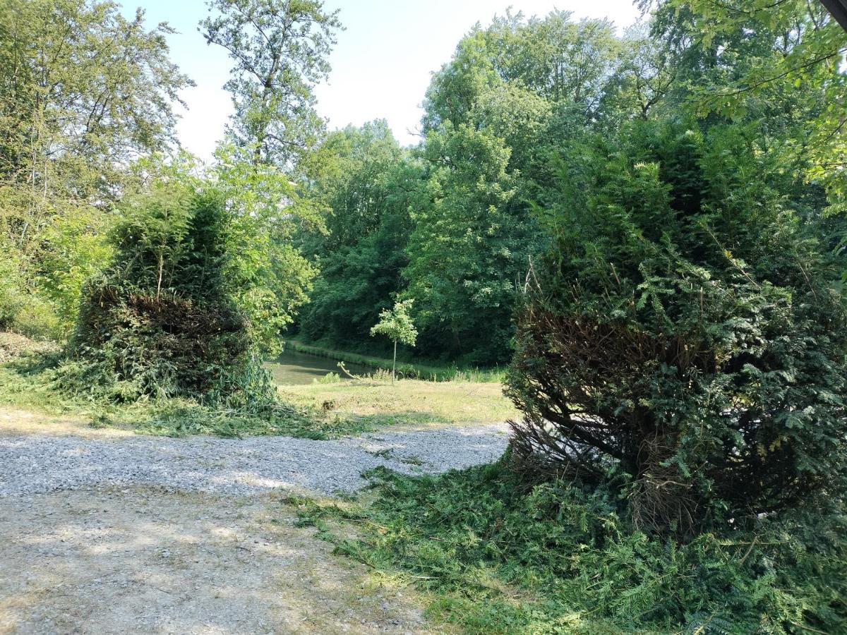 Deux Etangs Poissonneux Au Milieu Des Bois Avec Gite Moderne, La Halte Des Deux Lacs Rosee Luaran gambar